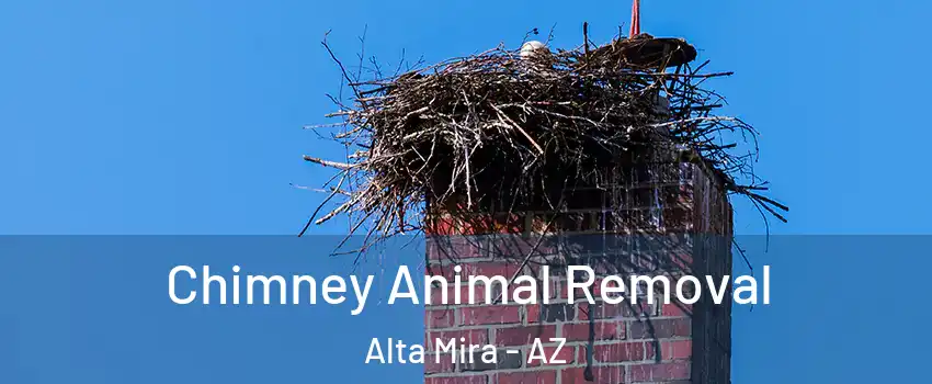 Chimney Animal Removal Alta Mira - AZ