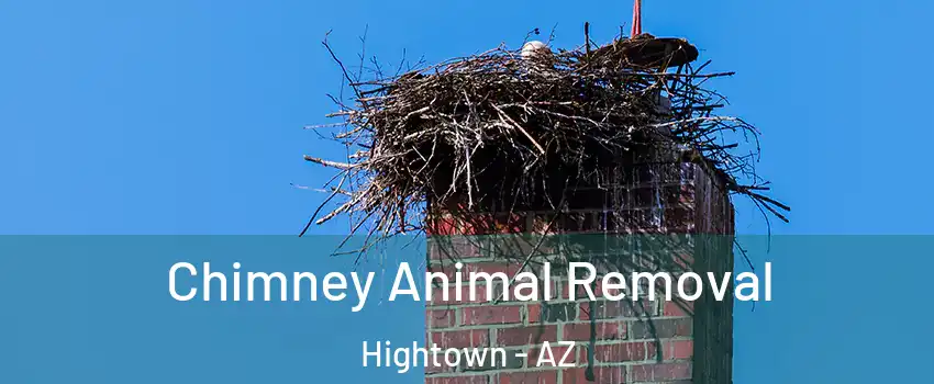 Chimney Animal Removal Hightown - AZ