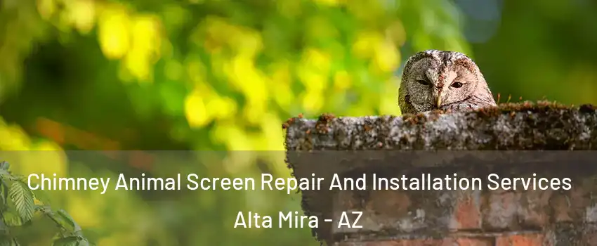 Chimney Animal Screen Repair And Installation Services Alta Mira - AZ