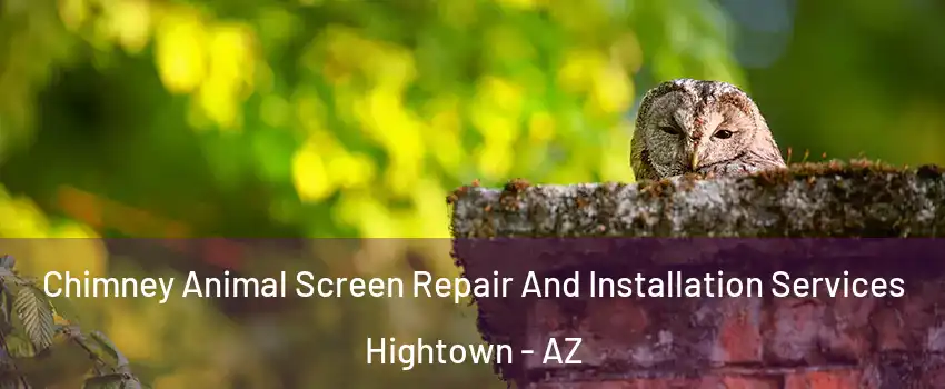 Chimney Animal Screen Repair And Installation Services Hightown - AZ