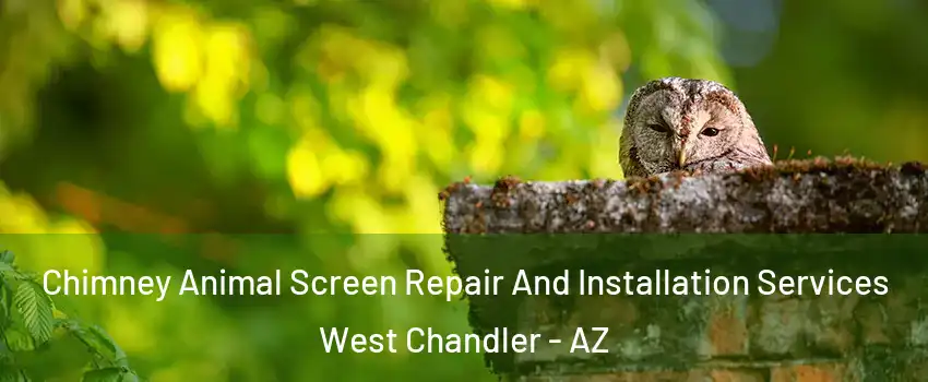 Chimney Animal Screen Repair And Installation Services West Chandler - AZ