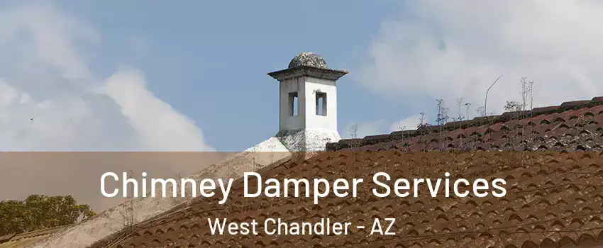 Chimney Damper Services West Chandler - AZ