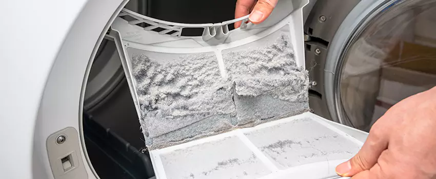 Best Dryer Lint Removal Company in West Chandler, Arizona