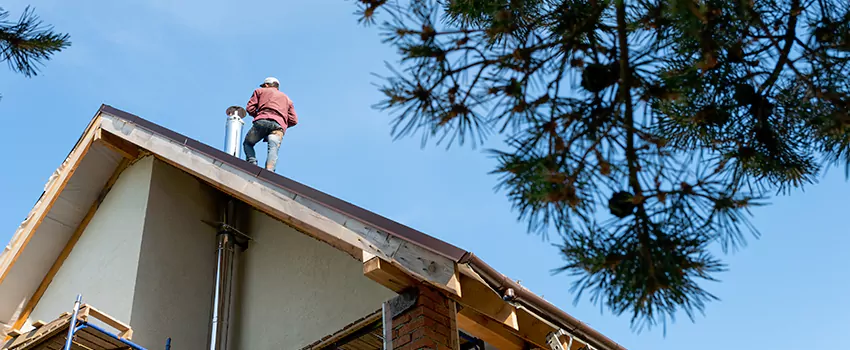 Birds Removal Contractors from Chimney in West Chandler, AZ