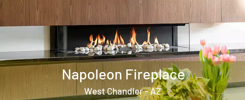 Napoleon Fireplace West Chandler - AZ